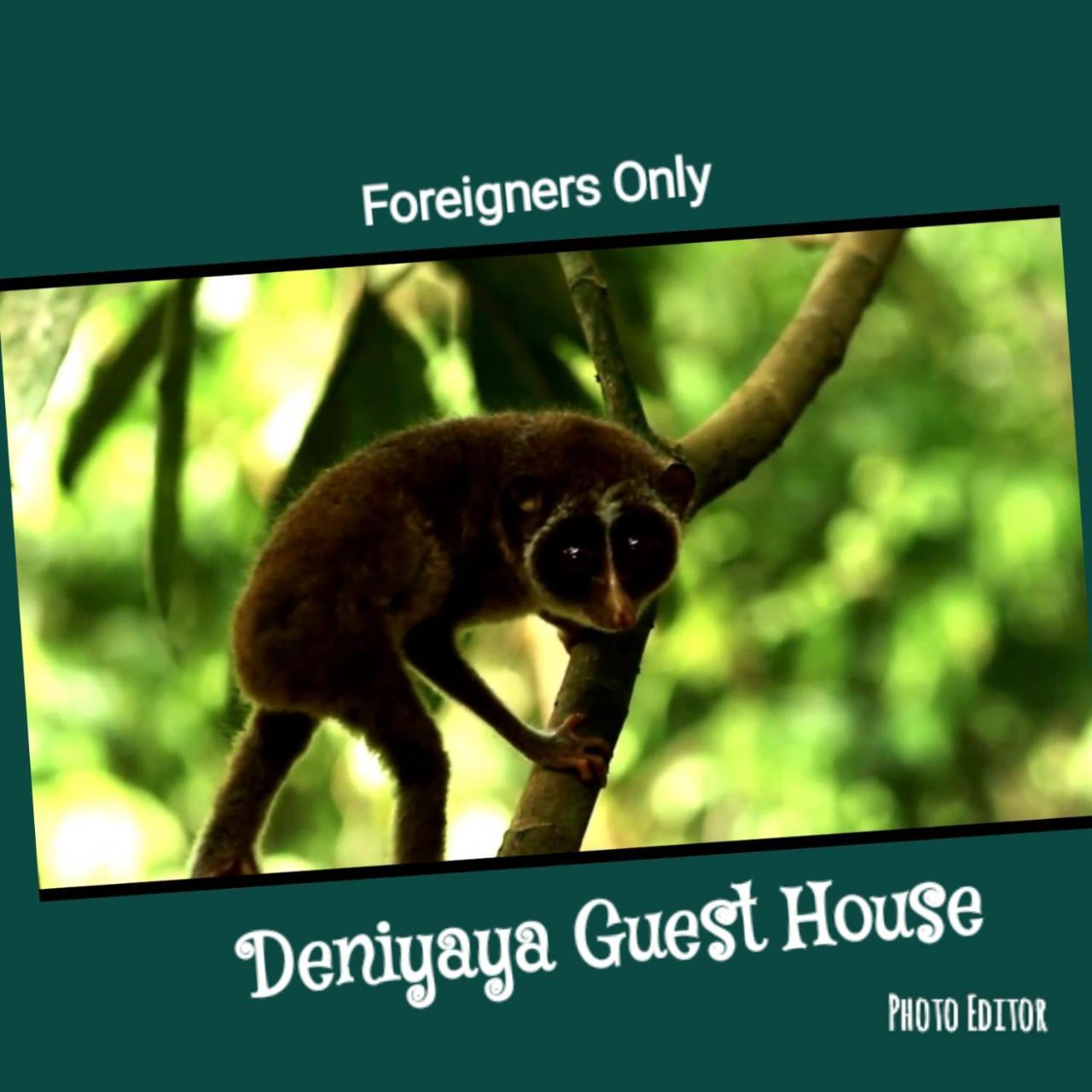 Deniyaya Guest House Ngoại thất bức ảnh